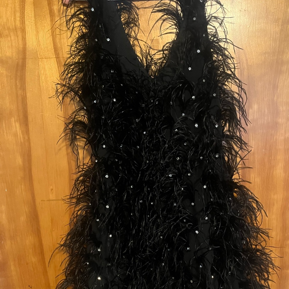 AKIRA Elegant Black Feather Mini Dress